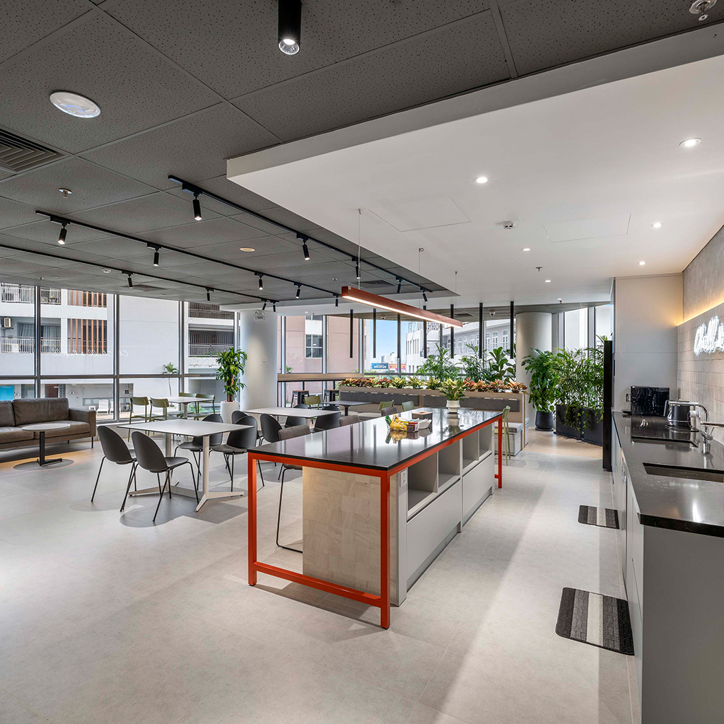 Inspiring Presence of Design Thanks to Indoor Plants